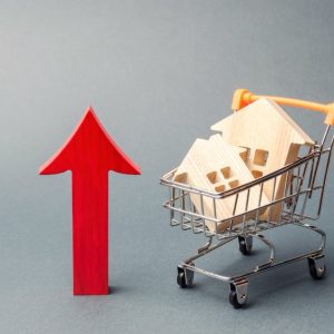 Pay manualy - 3 months bulk