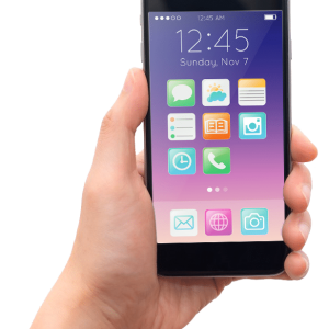 Yearly Premium Subscribe - 12 Months